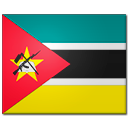 Nguvo/Soares flag